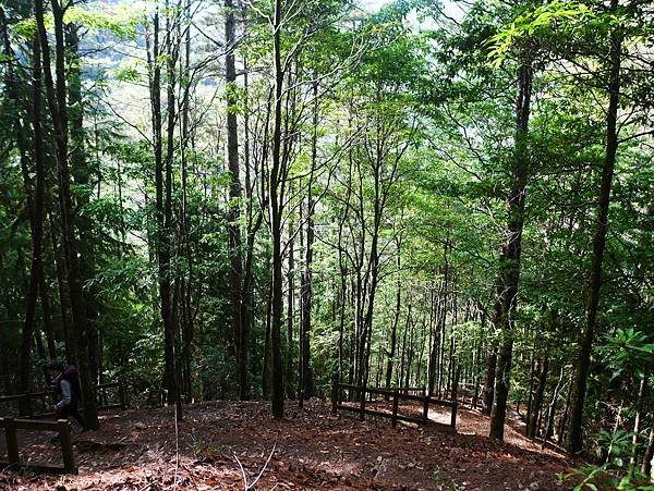 P1180523.JPG P1180523.JPG