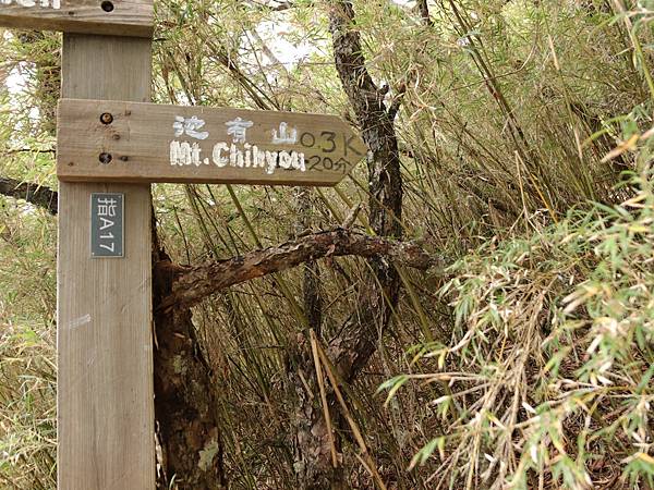 DAY2_201130_5.jpg DAY2_201130_5.jpg