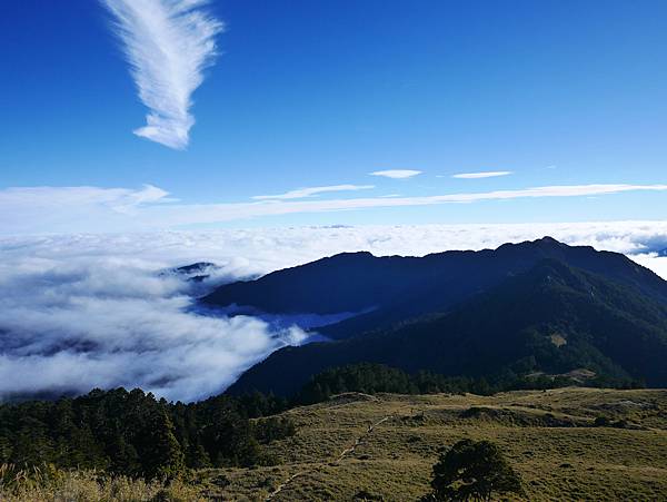 P1180563.JPG P1180563.JPG