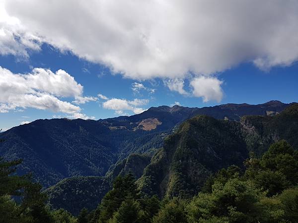 20201129_114325.jpg 20201129_114325.jpg