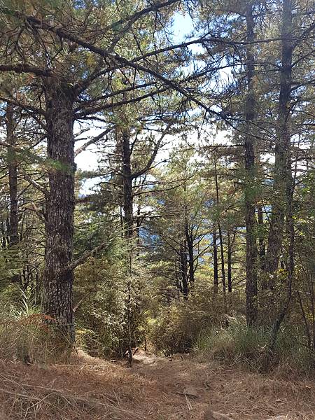 20201129_121149.jpg 20201129_121149.jpg