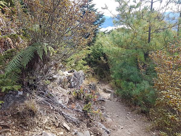 20201129_112613.jpg 20201129_112613.jpg