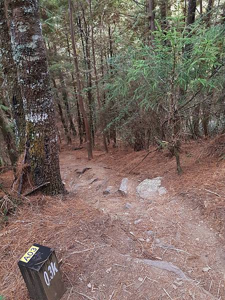 20201129_132313.jpg 20201129_132313.jpg