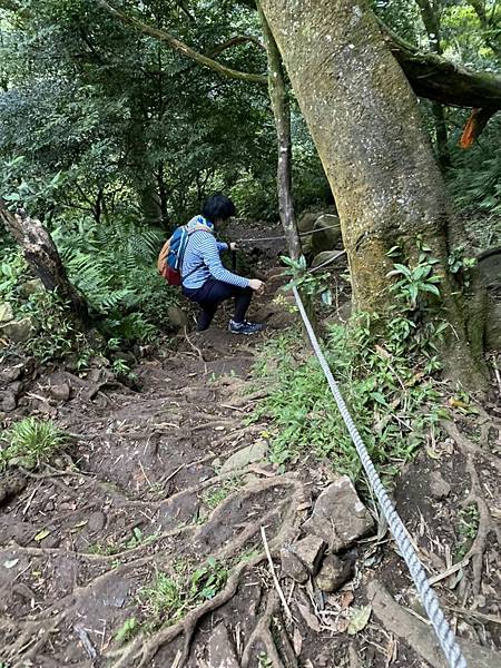 [遊記用] 陽明山東西大縱走_210307_8.jpg