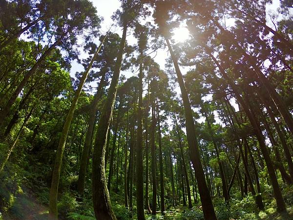 [遊記用] 陽明山東西大縱走_210307_18.jpg