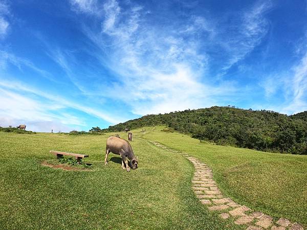 [遊記用] 陽明山東西大縱走_210307_22.jpg