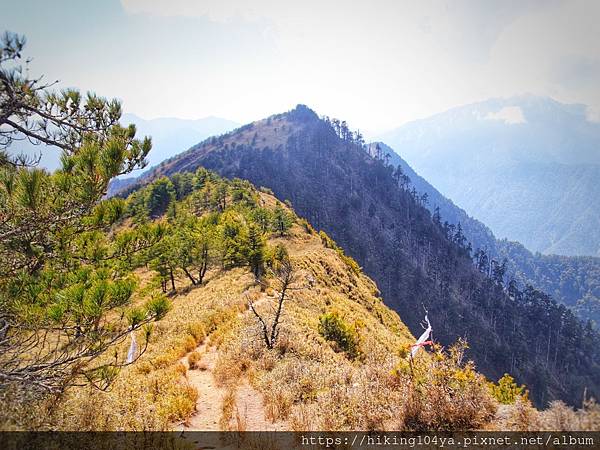 cbc719a1db8a8a45f49a7eaa01cd8071e_32238003_210323_9.jpg cbc719a1db8a8a45f49a7eaa01cd8071e_32238003_210323_9.jpg