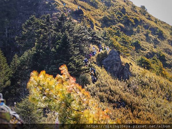 cbc719a1db8a8a45f49a7eaa01cd8071e_32238003_210323_15.jpg cbc719a1db8a8a45f49a7eaa01cd8071e_32238003_210323_15.jpg