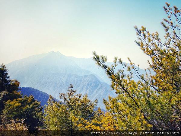 cbc719a1db8a8a45f49a7eaa01cd8071e_32238003_210323_17.jpg cbc719a1db8a8a45f49a7eaa01cd8071e_32238003_210323_17.jpg