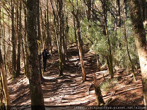 cbc719a1db8a8a45f49a7eaa01cd8071e_32238003_210323_20.jpg cbc719a1db8a8a45f49a7eaa01cd8071e_32238003_210323_20.jpg