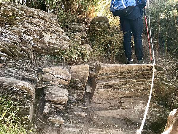 S__243777540.jpg S__243777540.jpg