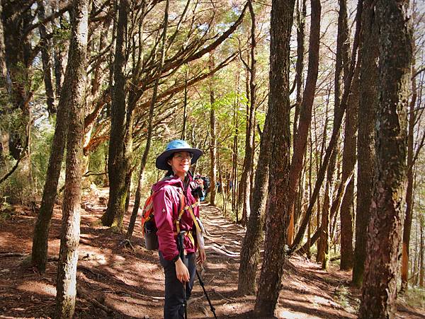 S__244023301.jpg S__244023301.jpg