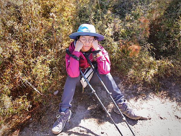 S__244023303.jpg S__244023303.jpg