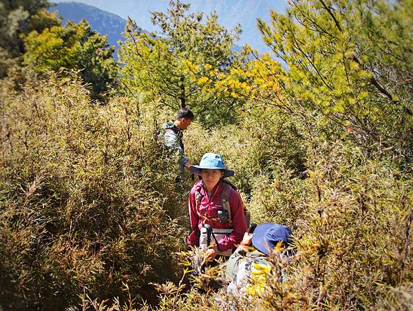 S__244023304.jpg S__244023304.jpg