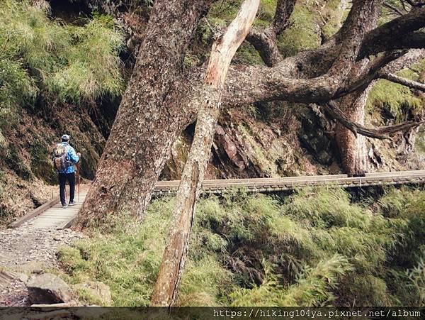 o32666a4348d5bbcace8b30ca85ff5442_4620693218562495700_210331_27.jpg o32666a4348d5bbcace8b30ca85ff5442_4620693218562495700_210331_27.jpg