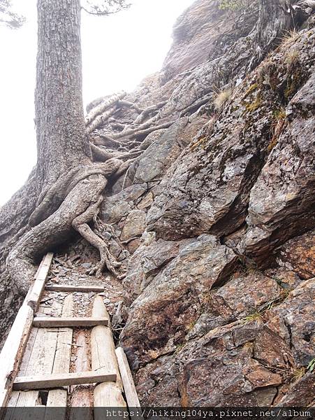 o32666a4348d5bbcace8b30ca85ff5442_4620693218562495700_210331_36.jpg o32666a4348d5bbcace8b30ca85ff5442_4620693218562495700_210331_36.jpg