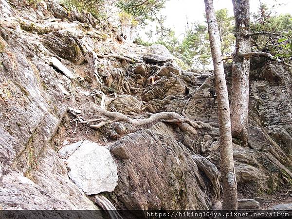 o32666a4348d5bbcace8b30ca85ff5442_4620693218562495700_210331_38.jpg o32666a4348d5bbcace8b30ca85ff5442_4620693218562495700_210331_38.jpg