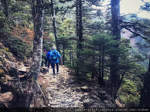 o32666a4348d5bbcace8b30ca85ff5442_4620693218562495700_210331_44.jpg o32666a4348d5bbcace8b30ca85ff5442_4620693218562495700_210331_44.jpg