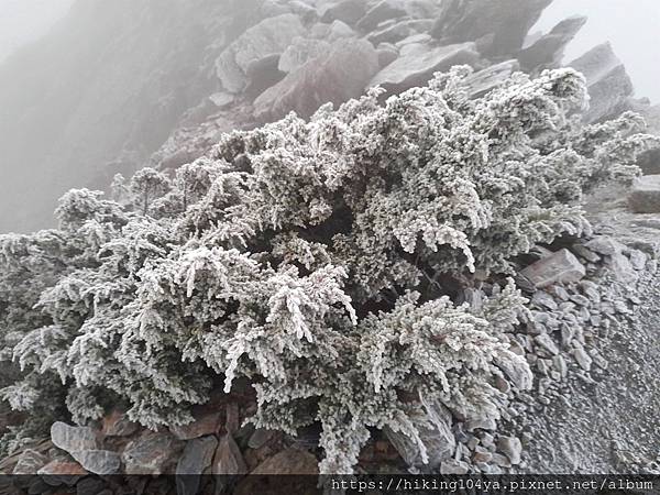 o32666a4348d5bbcace8b30ca85ff5442_4620693218562495700_210331_49.jpg o32666a4348d5bbcace8b30ca85ff5442_4620693218562495700_210331_49.jpg