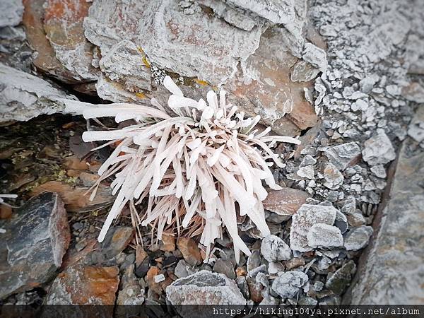 o32666a4348d5bbcace8b30ca85ff5442_4620693218562495700_210331_50.jpg o32666a4348d5bbcace8b30ca85ff5442_4620693218562495700_210331_50.jpg