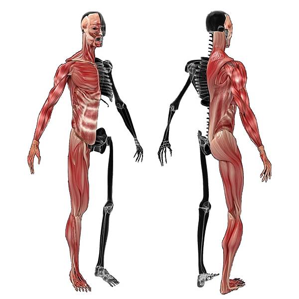 o32666a4348d5bbcace8b30ca85ff5442_4620693218565870529_210810_6.jpg o32666a4348d5bbcace8b30ca85ff5442_4620693218565870529_210810_6.jpg