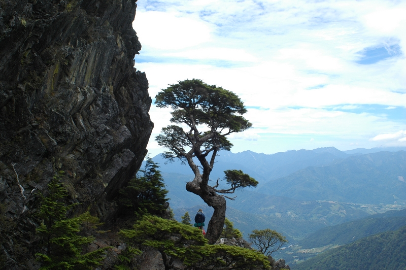 DSC_4086池有名樹.jpg