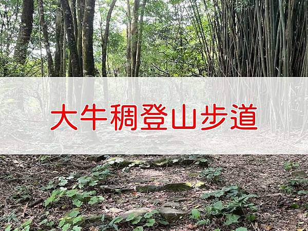 大牛稠登山步道.JPG