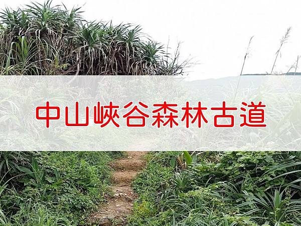 中山峽谷森林古道.JPG