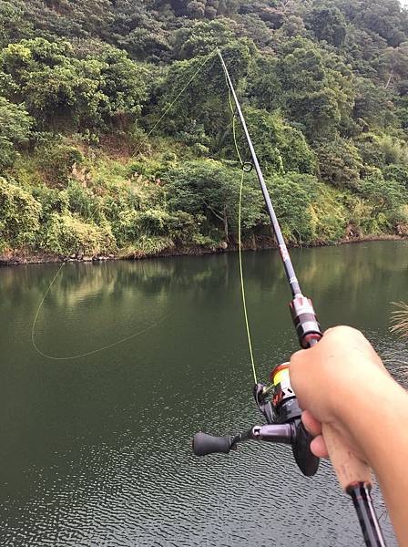 [釣魚心得] 魚人的浪漫! 體驗才能看到她的美 [蘆洲魚彩釣