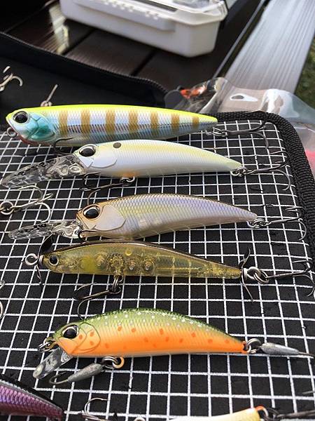 夏天 釣捲仔 路亞 DUO POPPER 64 溪釣 okuma 硬派 亞力士 捲線器 Mustad 速扣 Smith D-INCITE 53 魚彩釣具  (23).jpg