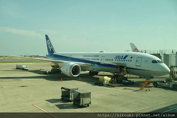 [分享] 20190606  NH824  TPE-NRT