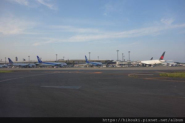 20190606  NH3239  NRT-KIJ