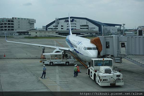 20190611  初入ANA陣地經典不斷的大阪伊丹空港