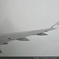 IMG_3126.JPG