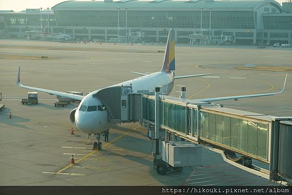 [分享] 20250319 OZ136 ICN-FUK 韓亞A321