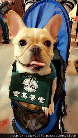 摩卡 摩卡