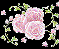 薔薇