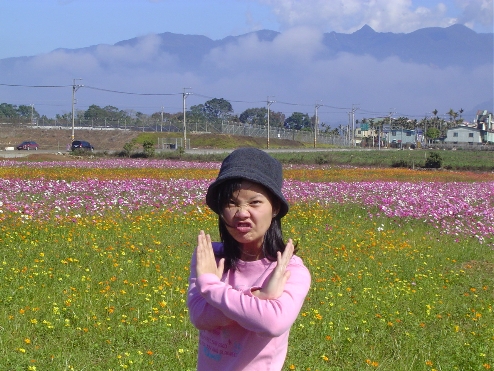 花田裡犯的錯