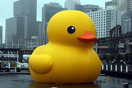 Rubber_Duck