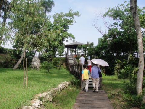 高雄大崗山，寺廟群和生態公園(99.8.20)