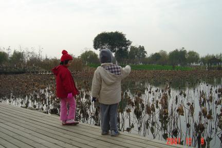 蘇州半日遊:独墅湖体育館,白鷺園+蚵仔麵線12(96.12.9)