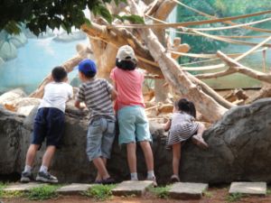 暑假第二天:網聚(100.7.2) 暑假第二天:網聚(100.7.2)