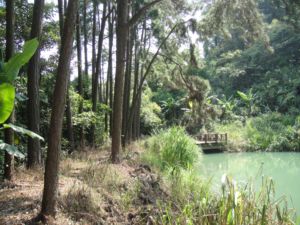 暑假第三天:北埔松翠湖 + 陶板屋(100.7.3) 暑假第三天:北埔松翠湖 + 陶板屋(100.7.3)