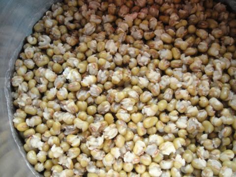 煮綠豆湯的好方法(100.8.7) 煮綠豆湯的好方法(100.8.7)