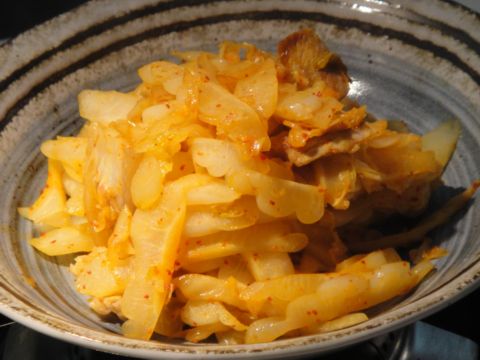 廚房之歌 ~ 夏日餐桌的涼與熱、濃與淡 ~ 肉片泡菜炒苦瓜(100.8.8) 廚房之歌 ~ 夏日餐桌的涼與熱、濃與淡 ~ 肉片泡菜炒苦瓜(100.8.8)
