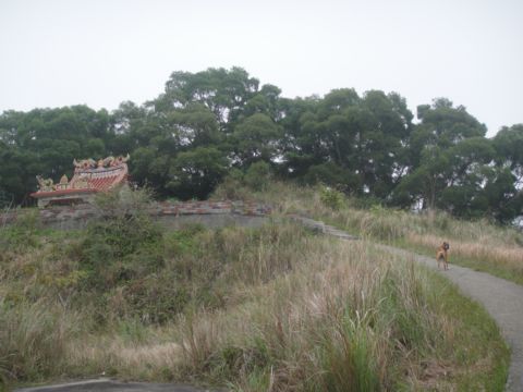 頭份,鹿廚坑步道(101.3.3) 頭份,鹿廚坑步道(101.3.3)