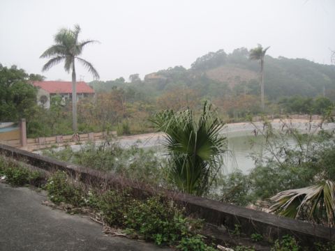 頭份，鹿廚坑步道(101.3.3)