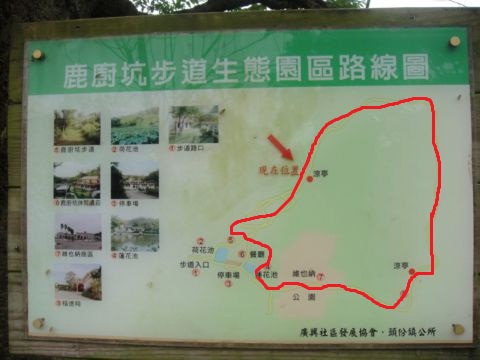 頭份,鹿廚坑步道(101.3.3) 頭份,鹿廚坑步道(101.3.3)