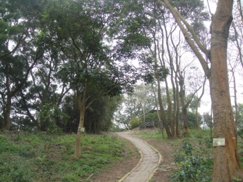 頭份,鹿廚坑步道(101.3.3) 頭份,鹿廚坑步道(101.3.3)