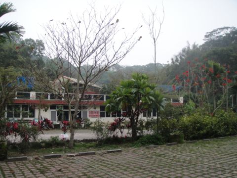 頭份,鹿廚坑步道(101.3.3) 頭份,鹿廚坑步道(101.3.3)